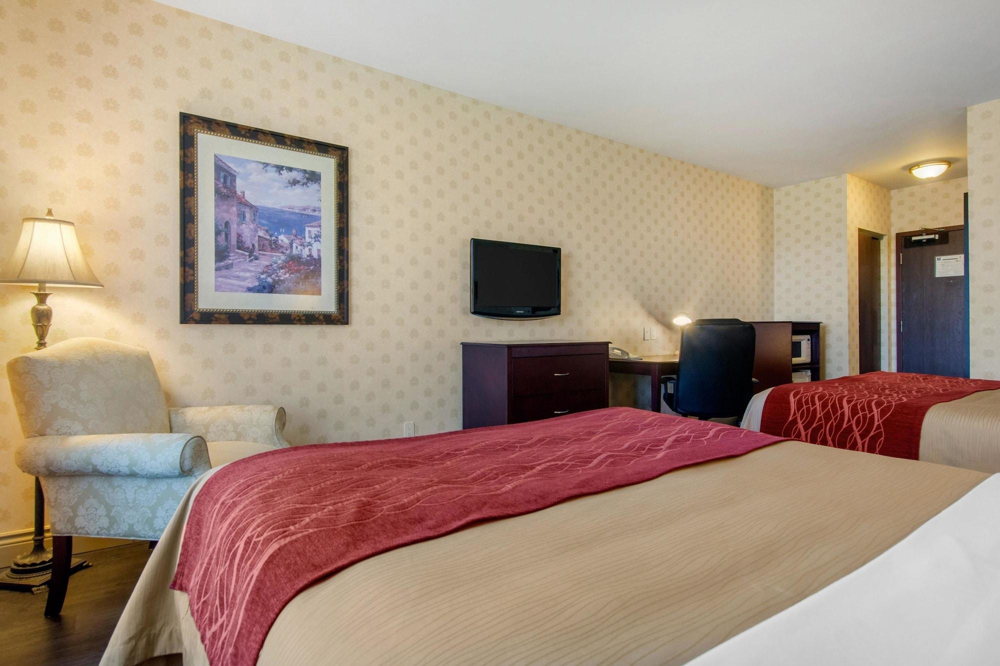 Comfort & 4*