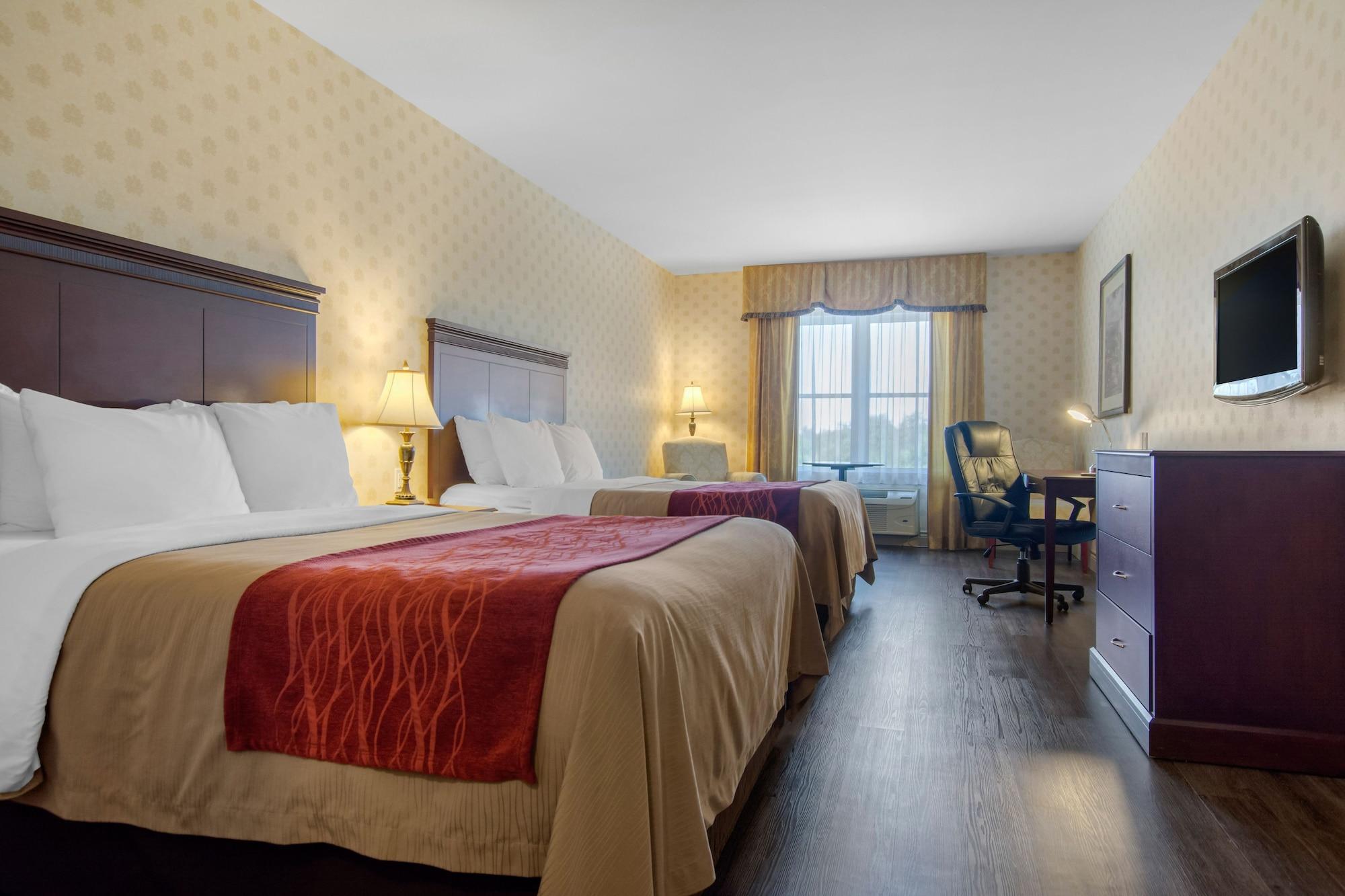 Comfort & Hotel 4*