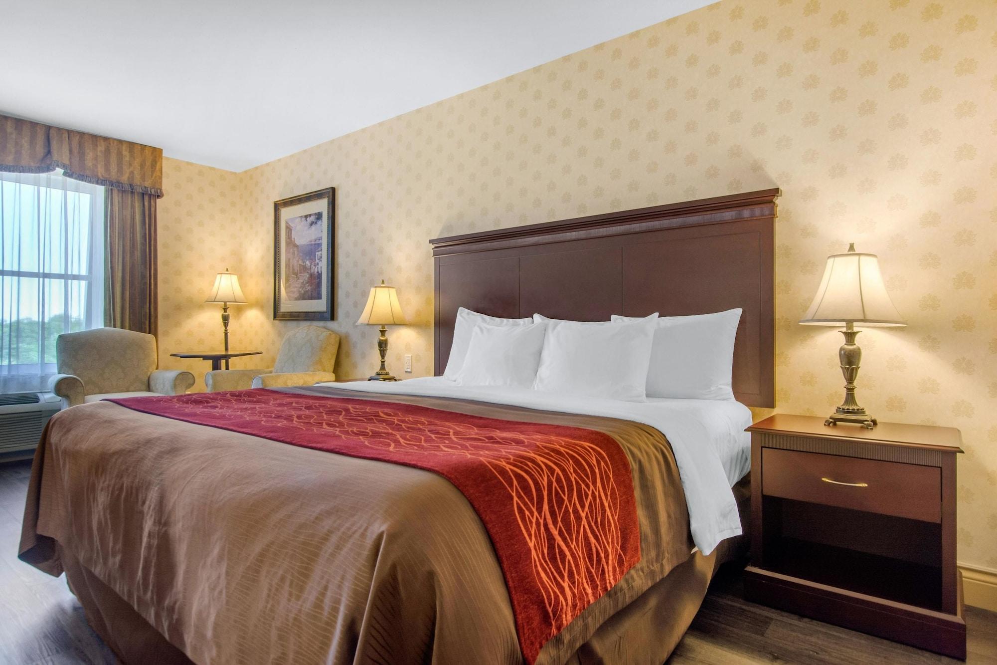 Hotel Comfort & 4*