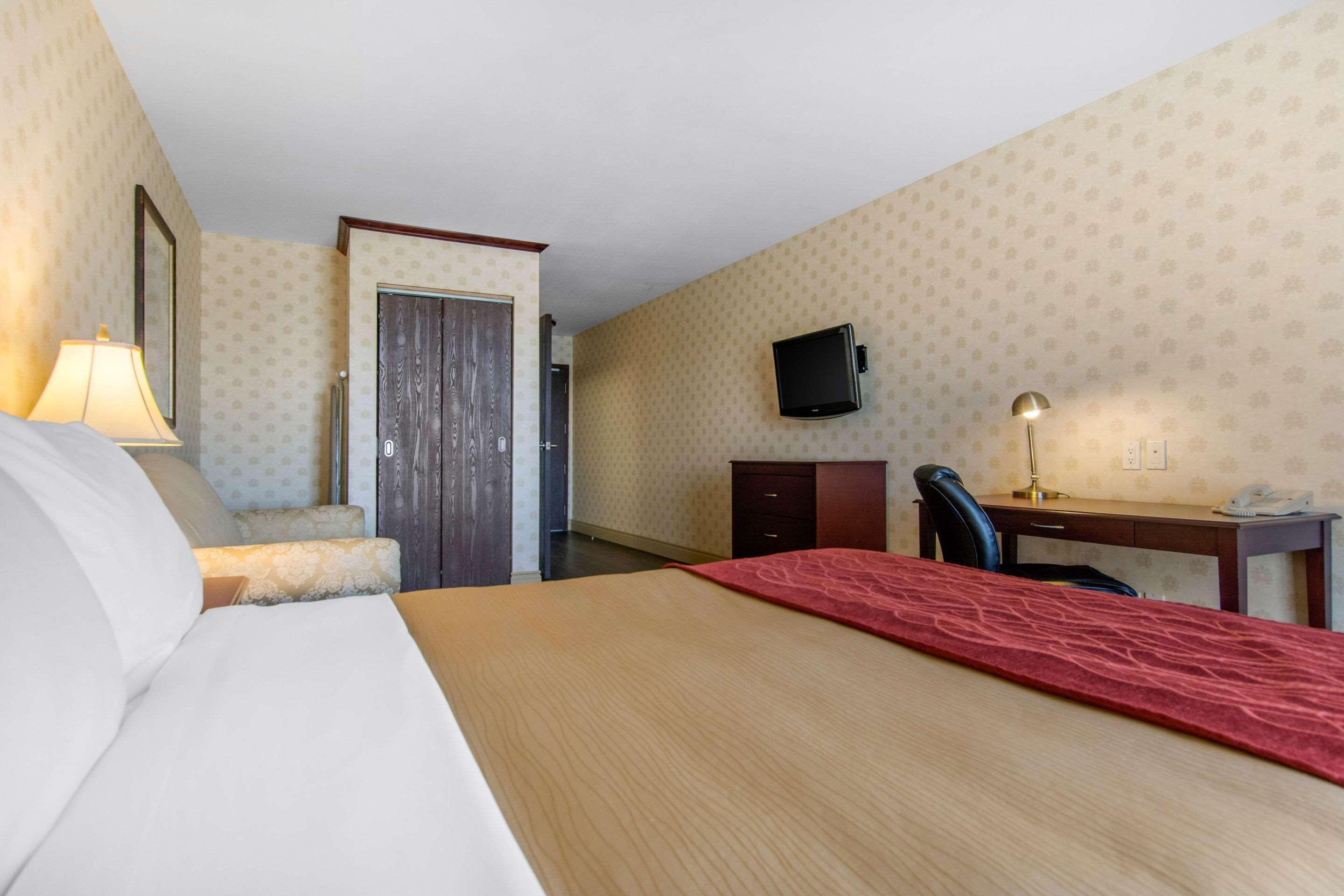 Comfort & Hotel Levis