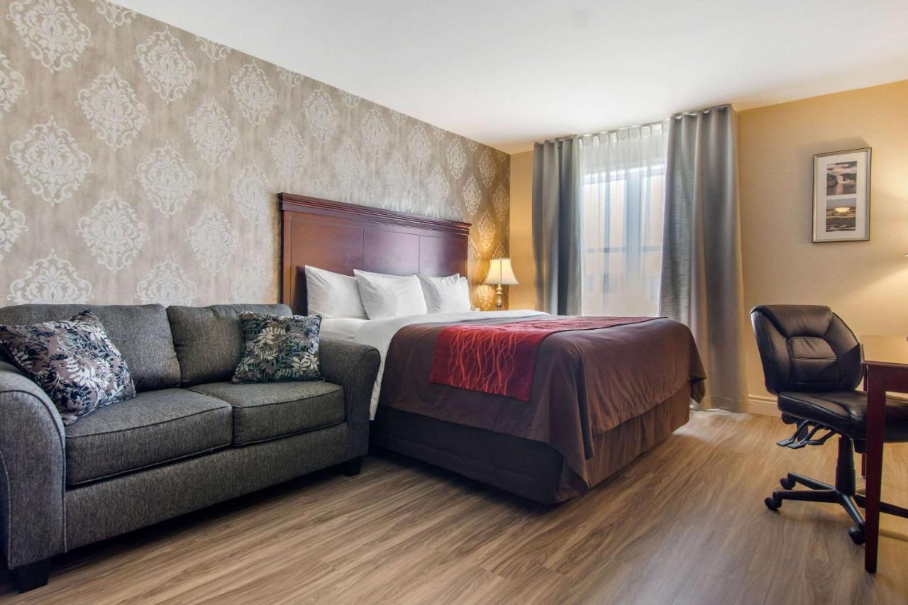 Comfort & Hotel Levis