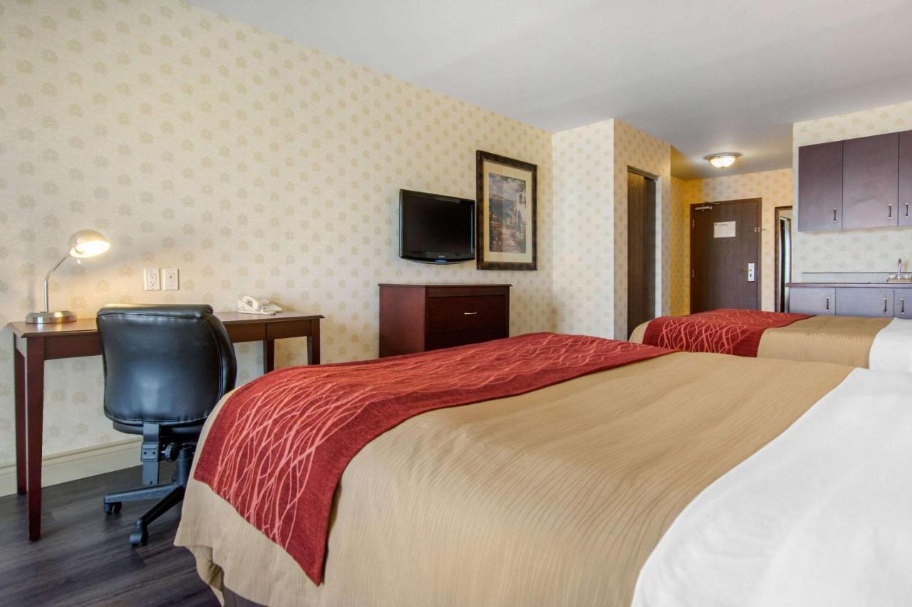 Hotel Comfort & Levis